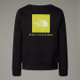 Ежедневен пуловер за момчета The North Face