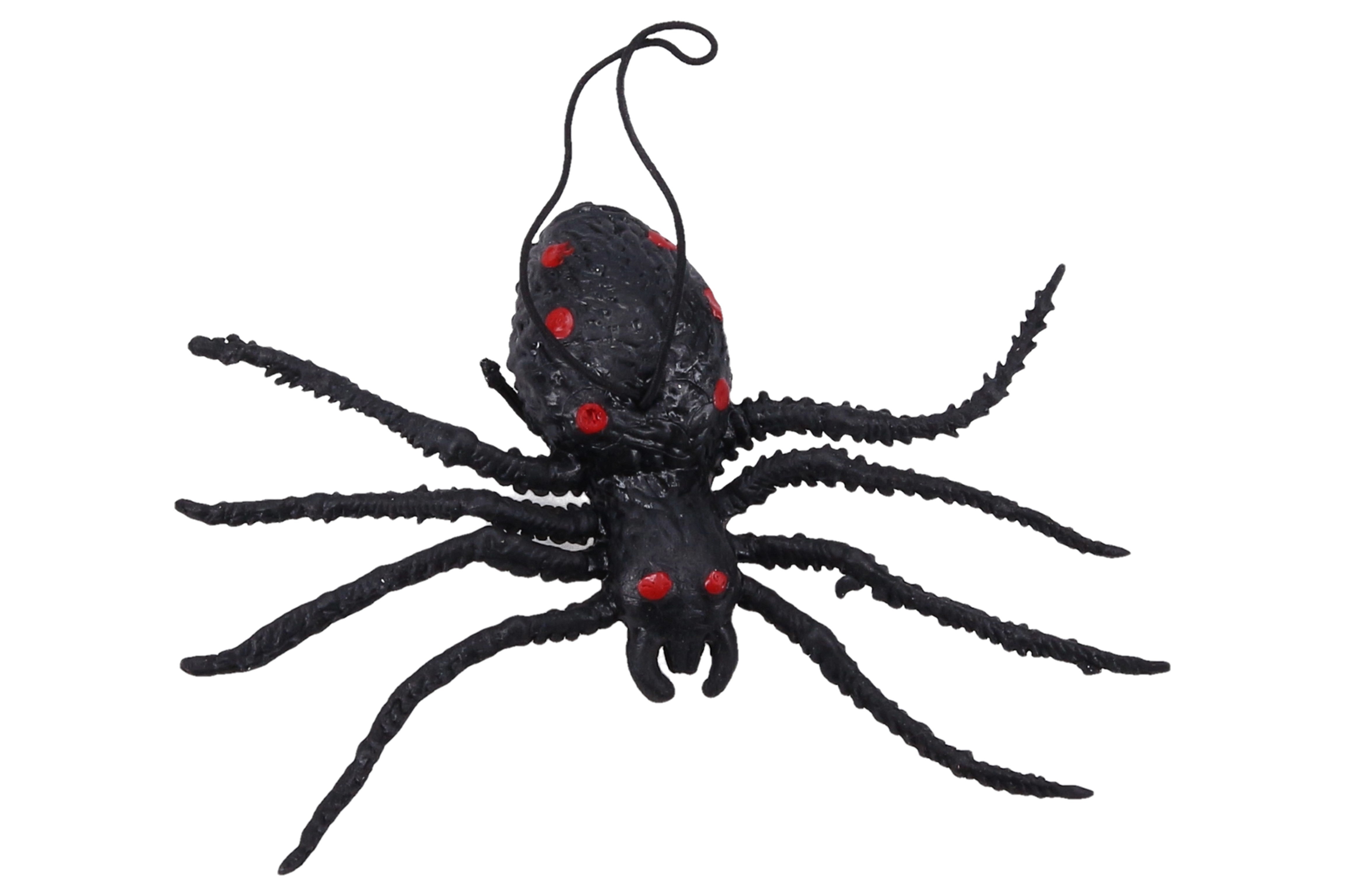 Aranha de borracha
