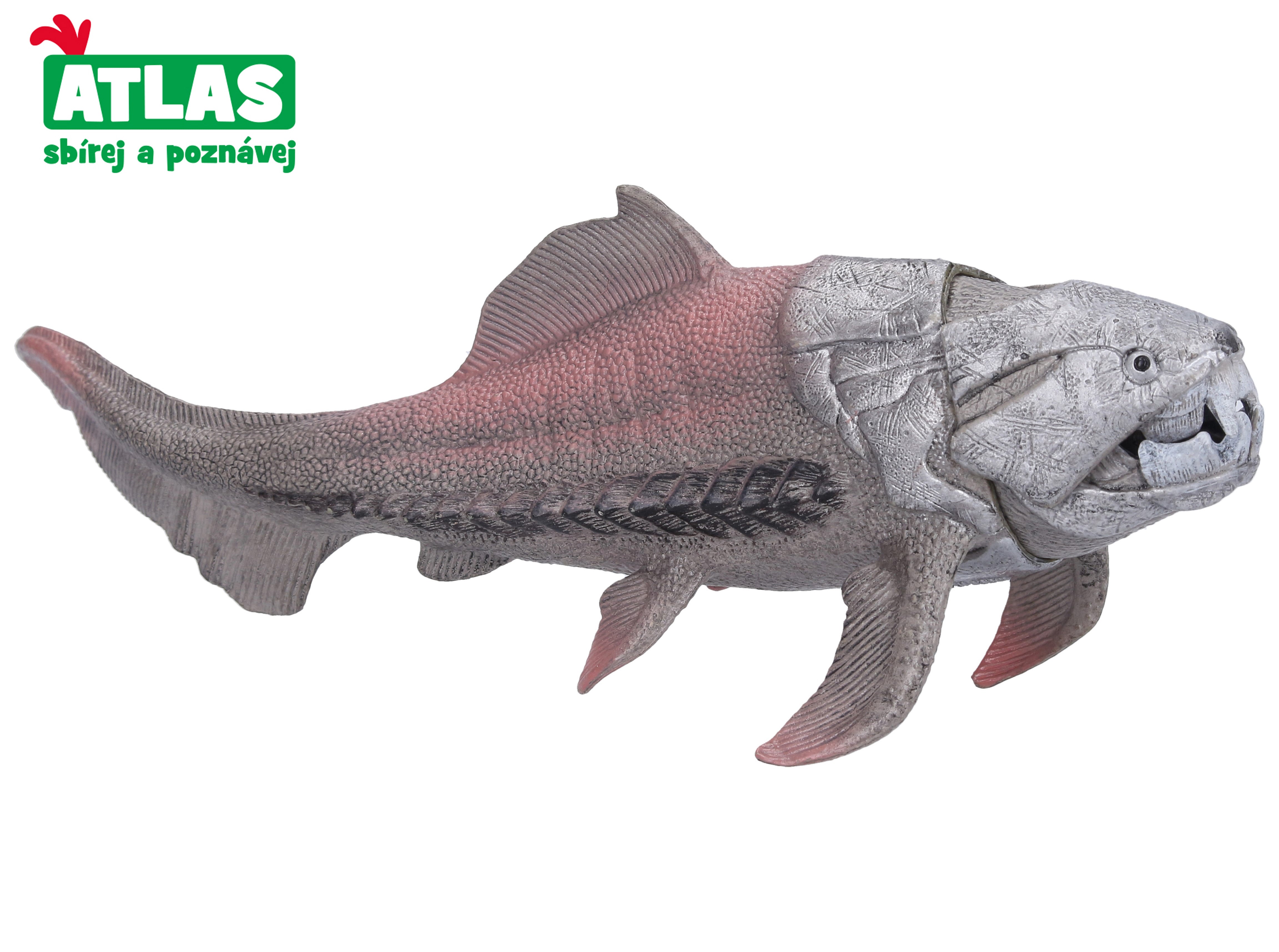 G - Dunkleosteus Figure 18 Cm