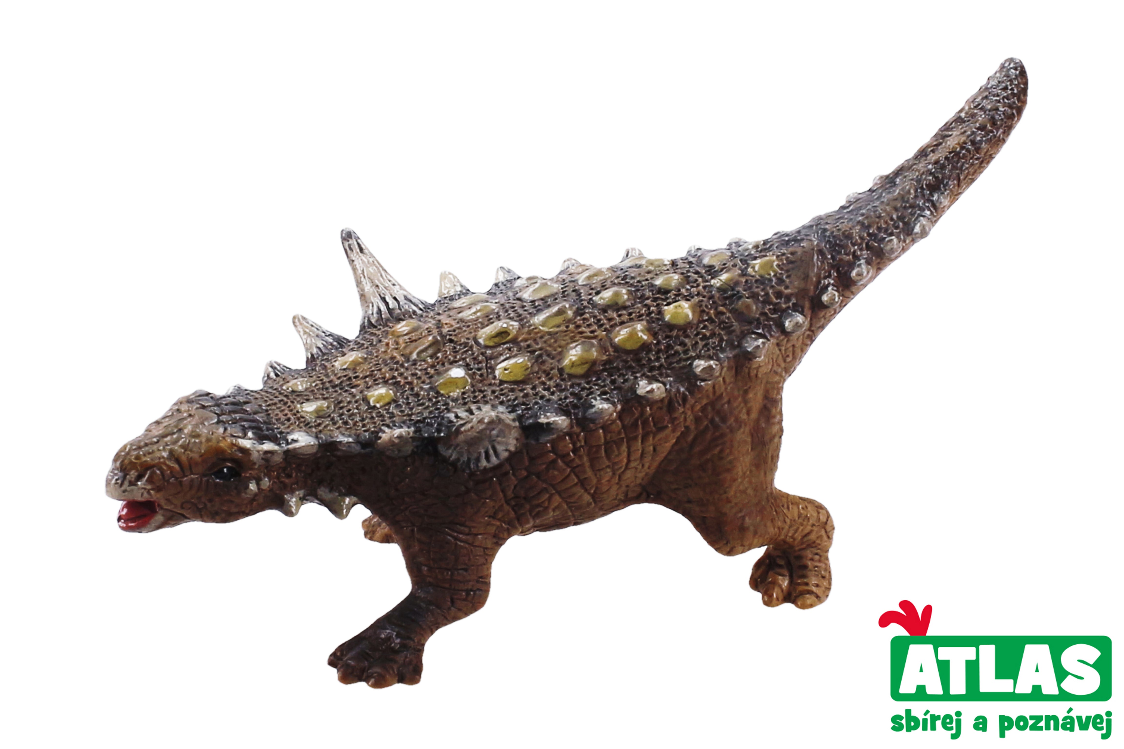 D - Animantarx ábra