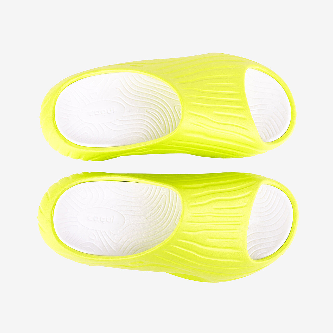 Dame Slides Coqui