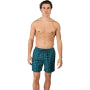 Brunotti Men's Swim Shorts