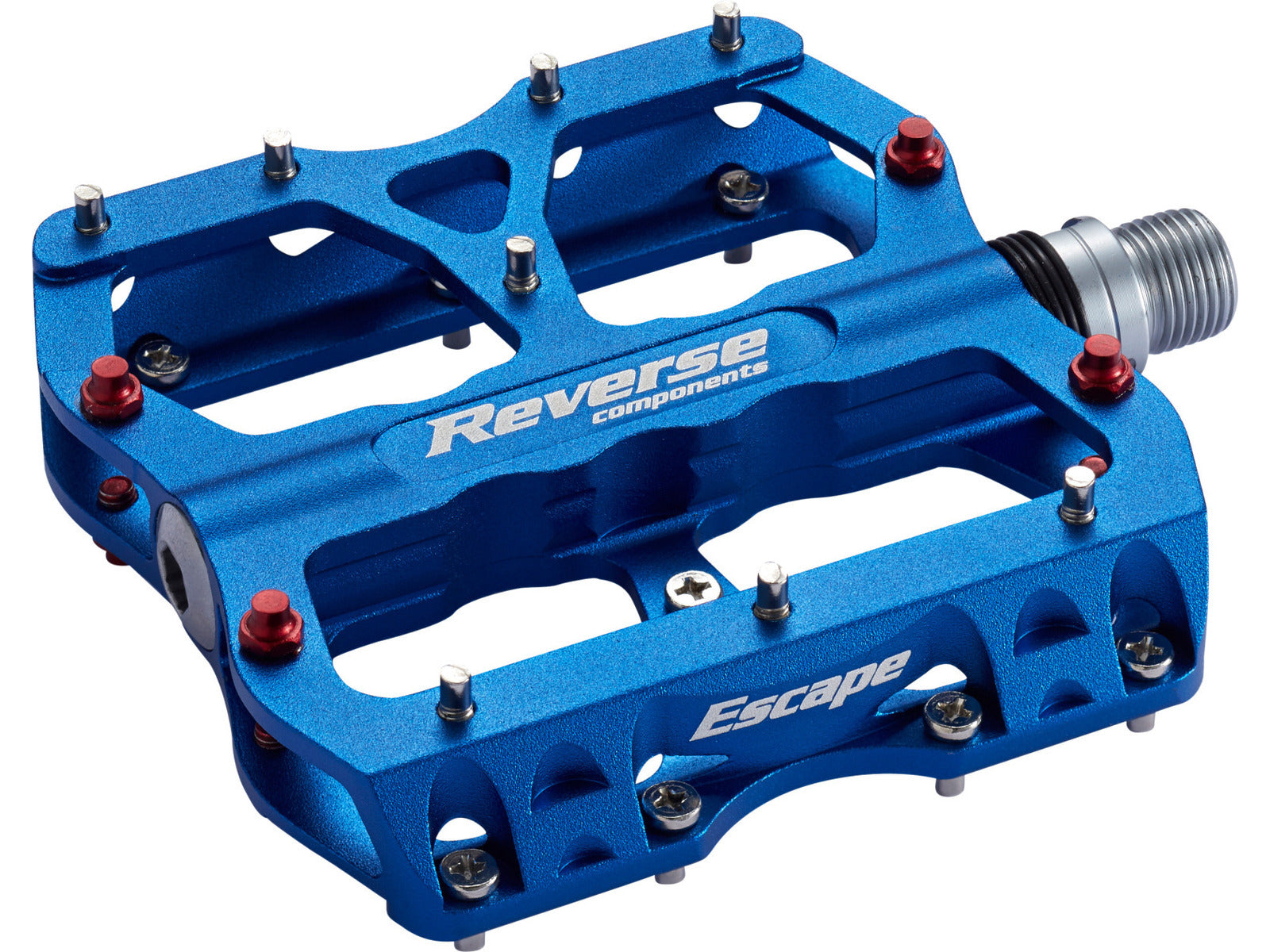 Reverse Pedal Escape Blue