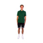 Lacoste Polo herre