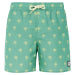 Protest Swim Shorts Boys