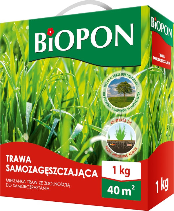 Iarbă auto-ingrosată 1 Kg