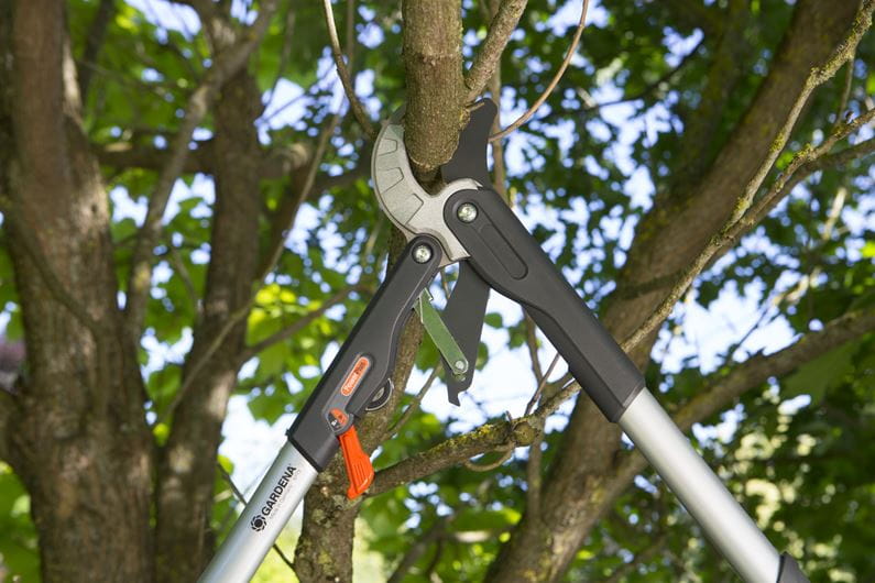 Comfort Sc Branch Shears