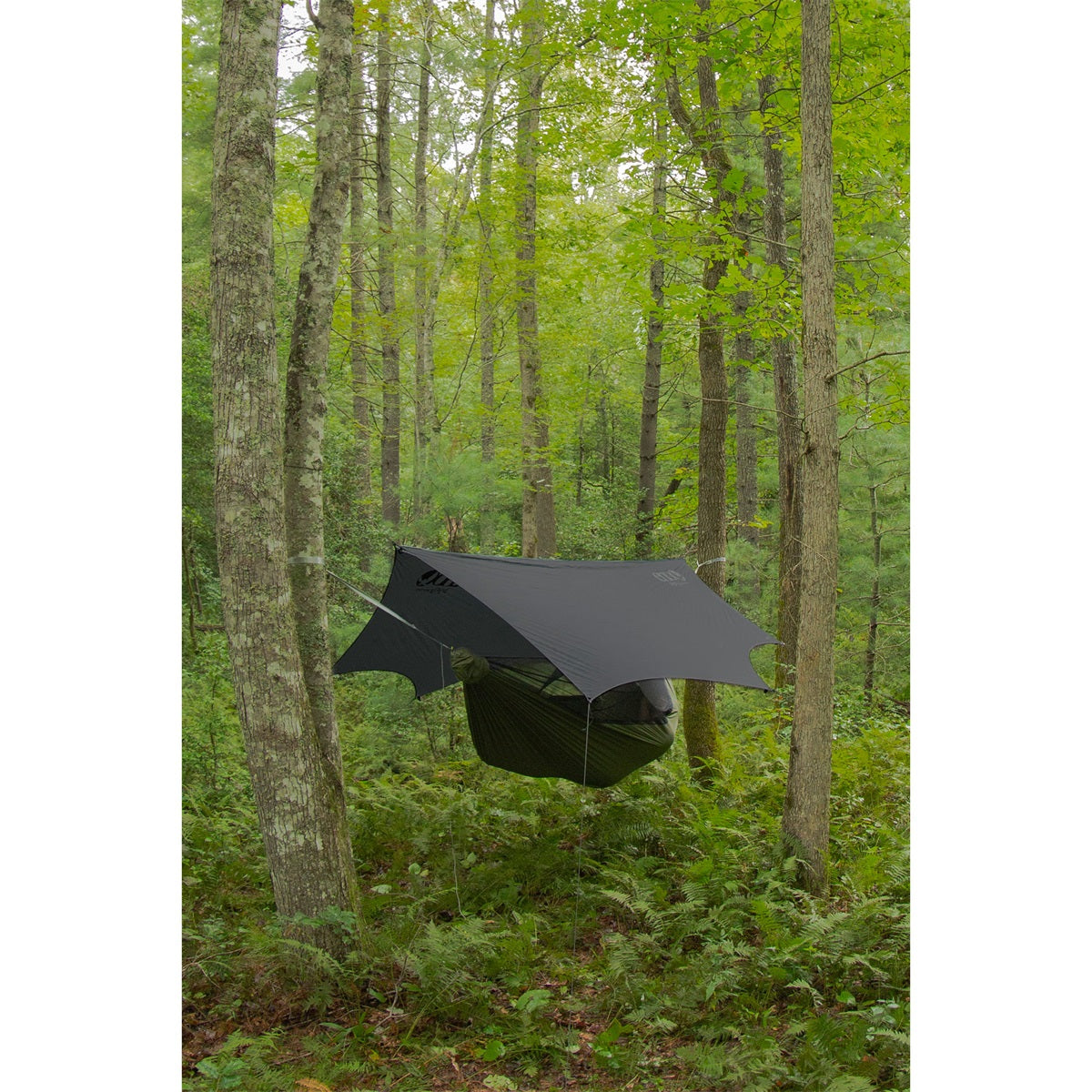Eno Junglelink Hammock System Charcoal / Evergreen