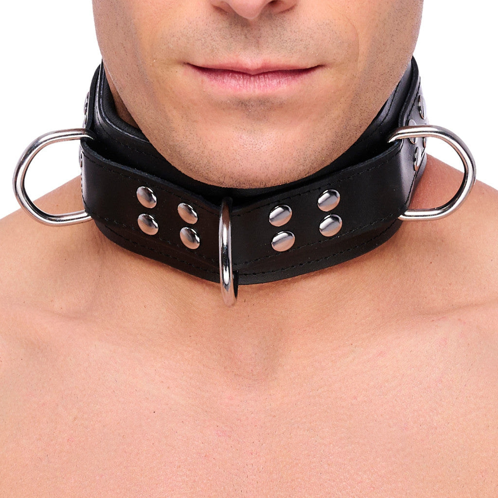 Padded Leather Collar With Black D-rings