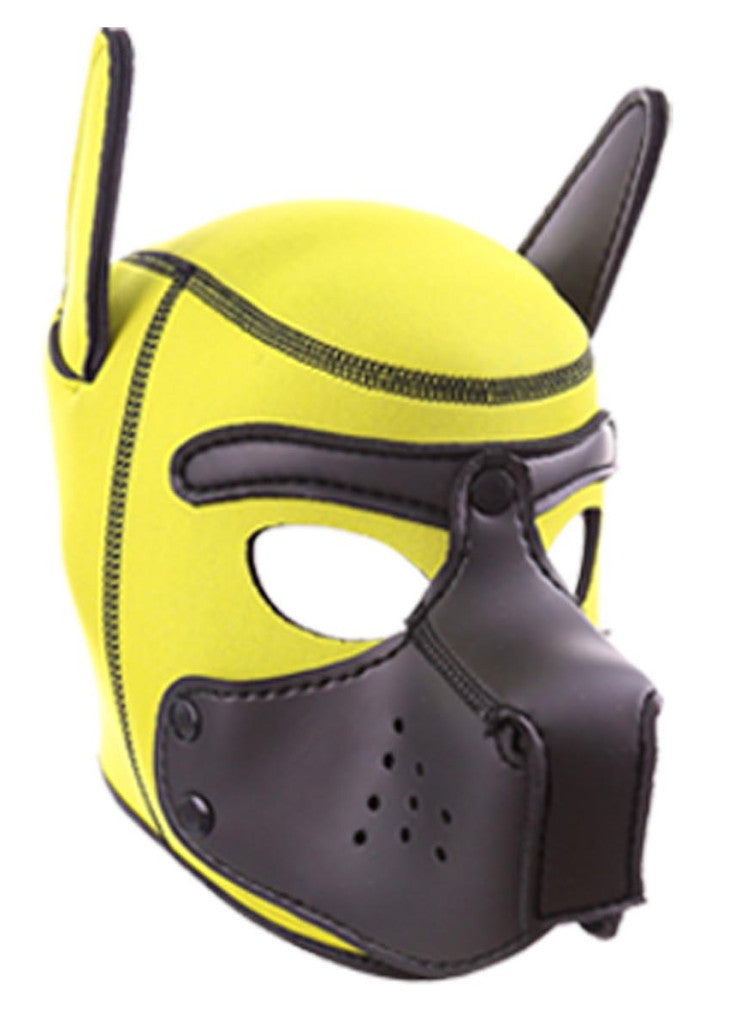 Yellow-black Neoprene Dog Mask – Stylish Protection