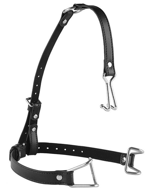 Sm Hook – Mouth Gag And Nose Rest Toy