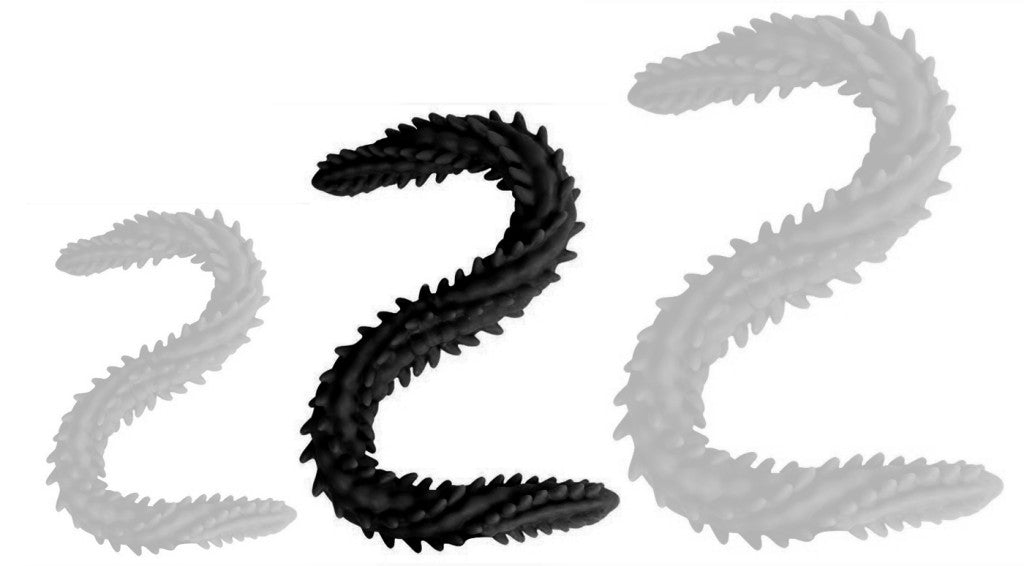 Scolop M – Premium Black Double Dildo 50 Cm Long