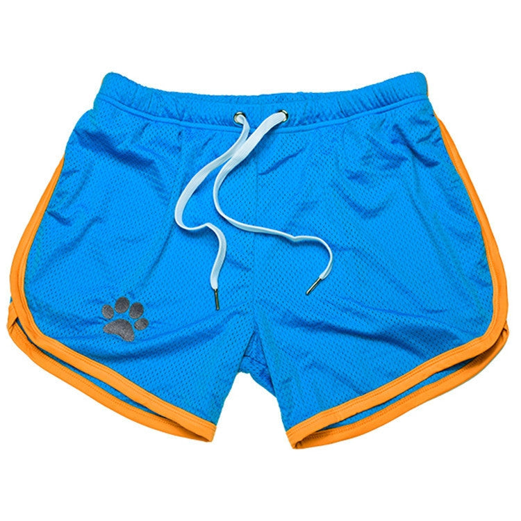 Paw Shorts Blue-yellow