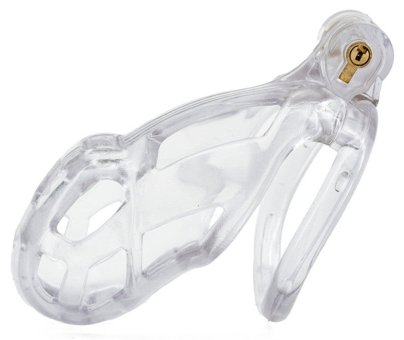 Transparent Robat Cage Xl – Premium Transparent Cage