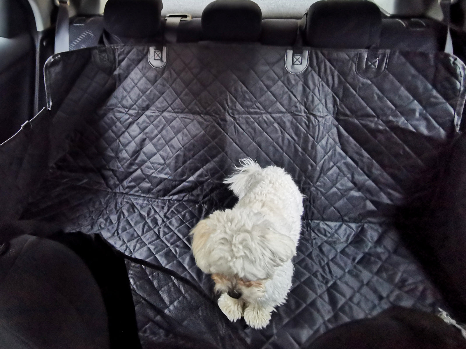 Car Mat For Pets Waterproof Cover