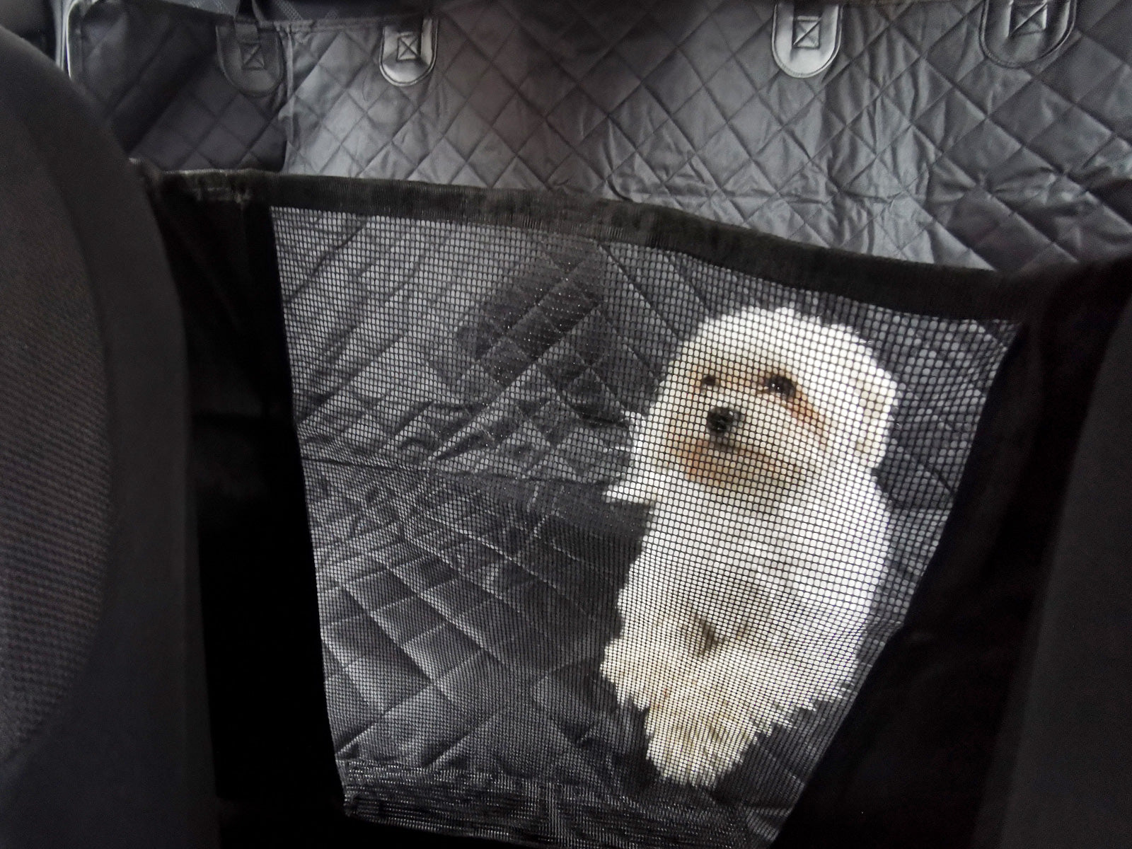 Car Mat For Pets Waterproof Cover