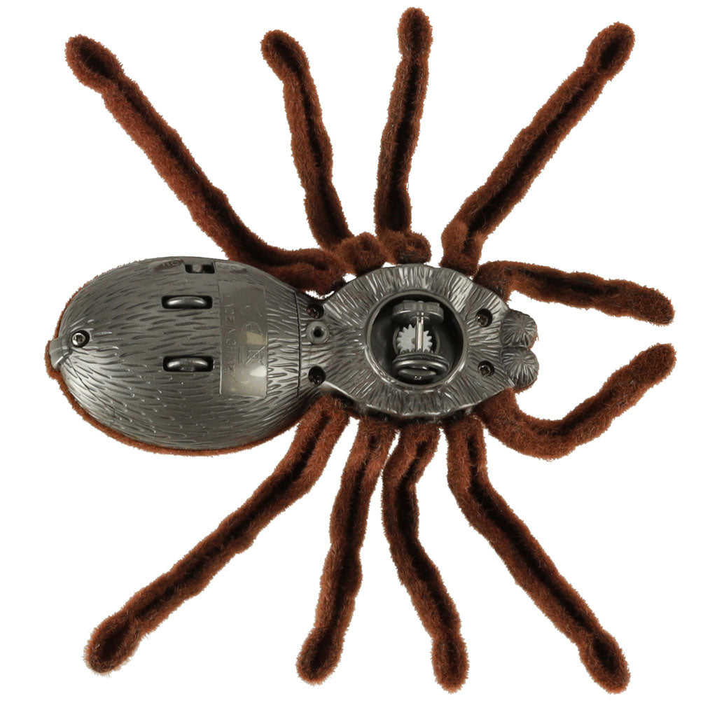 Remote Controlled Tarantula Spider + Pilot