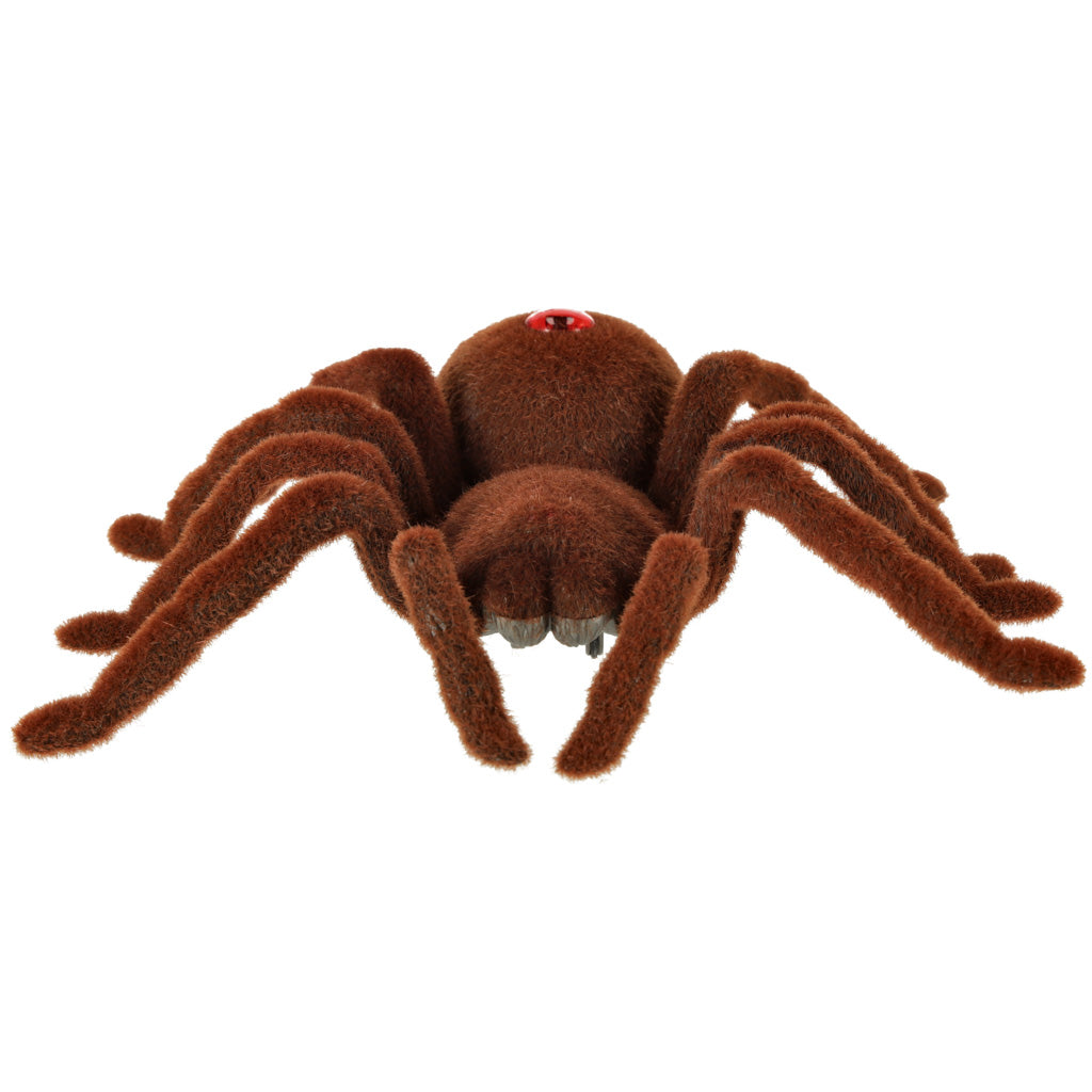 Remote Controlled Tarantula Spider + Pilot