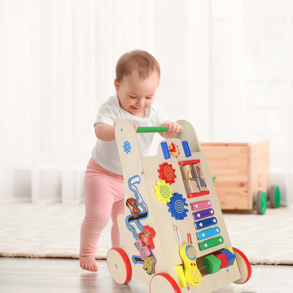 Pusher Wooden Walker Educational Cube 6in1