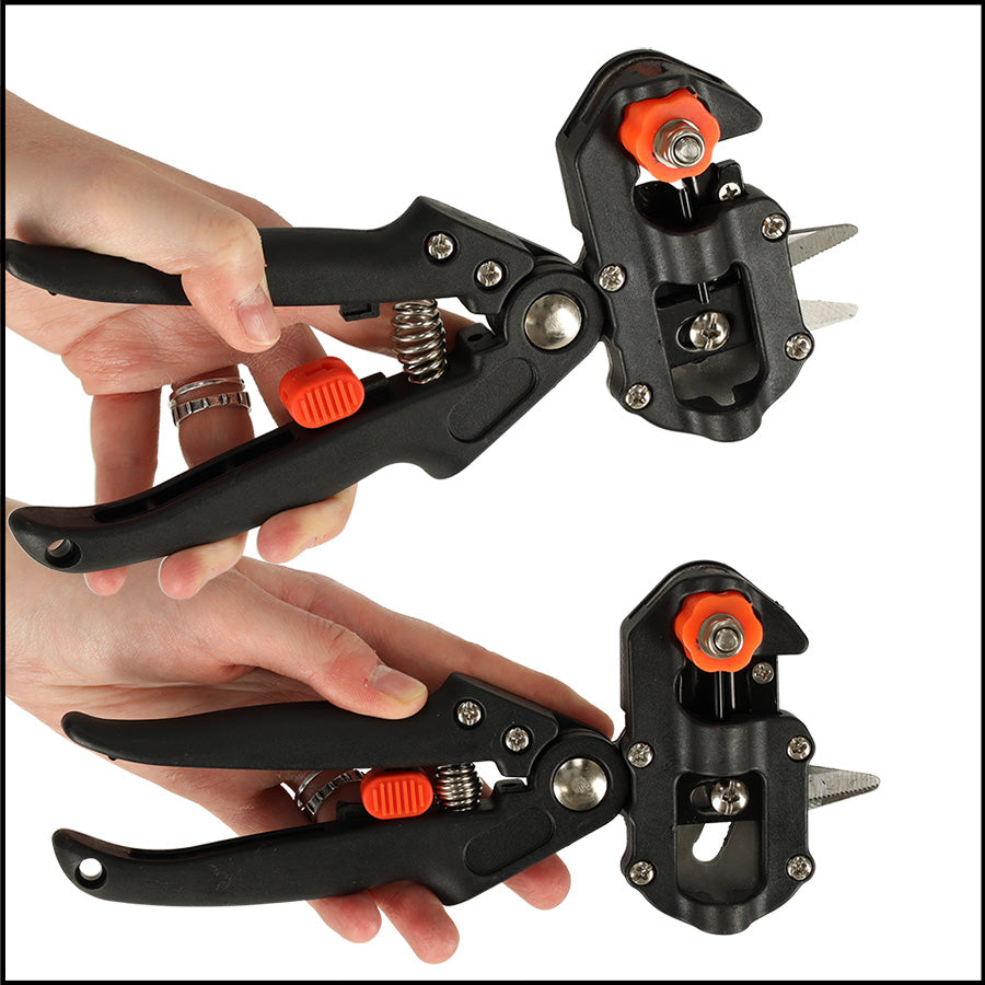Secateurs For Grafting Trees Of Shrubs