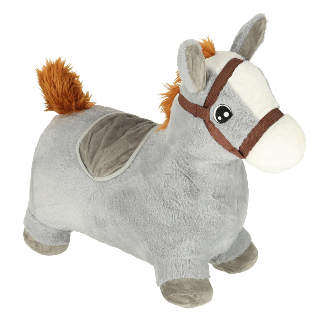 Children's Jumping Jumper With Pump Rubber Horsehorse