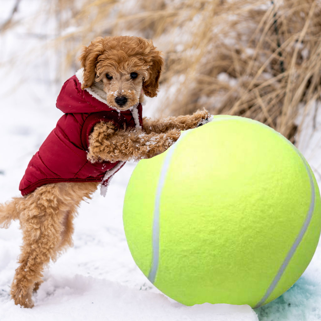 Играчка за кучета Giant Tennis Ball Xxl 24cm