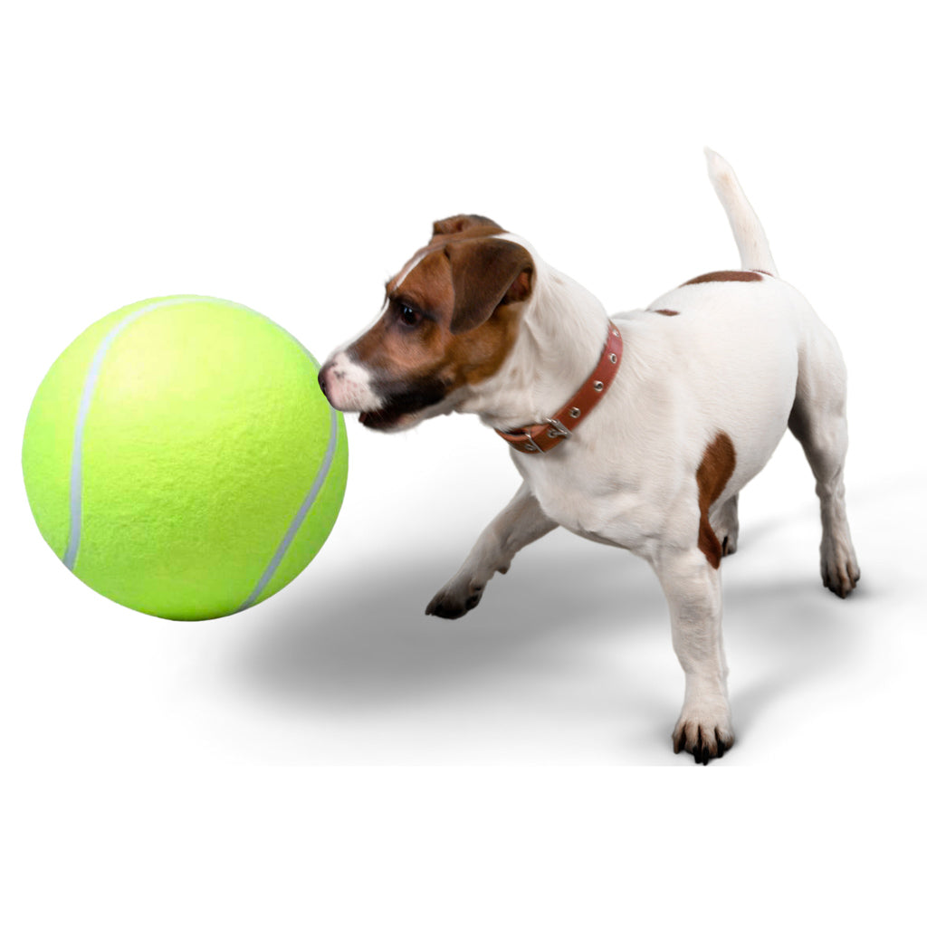 Играчка за кучета Giant Tennis Ball Xxl 24cm