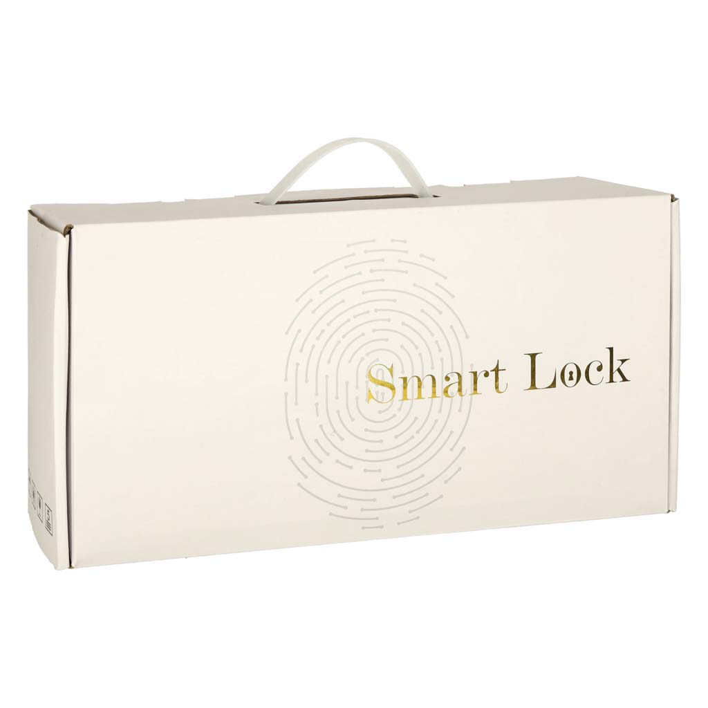 Fingerprint Code Combination Door Handle Card Black