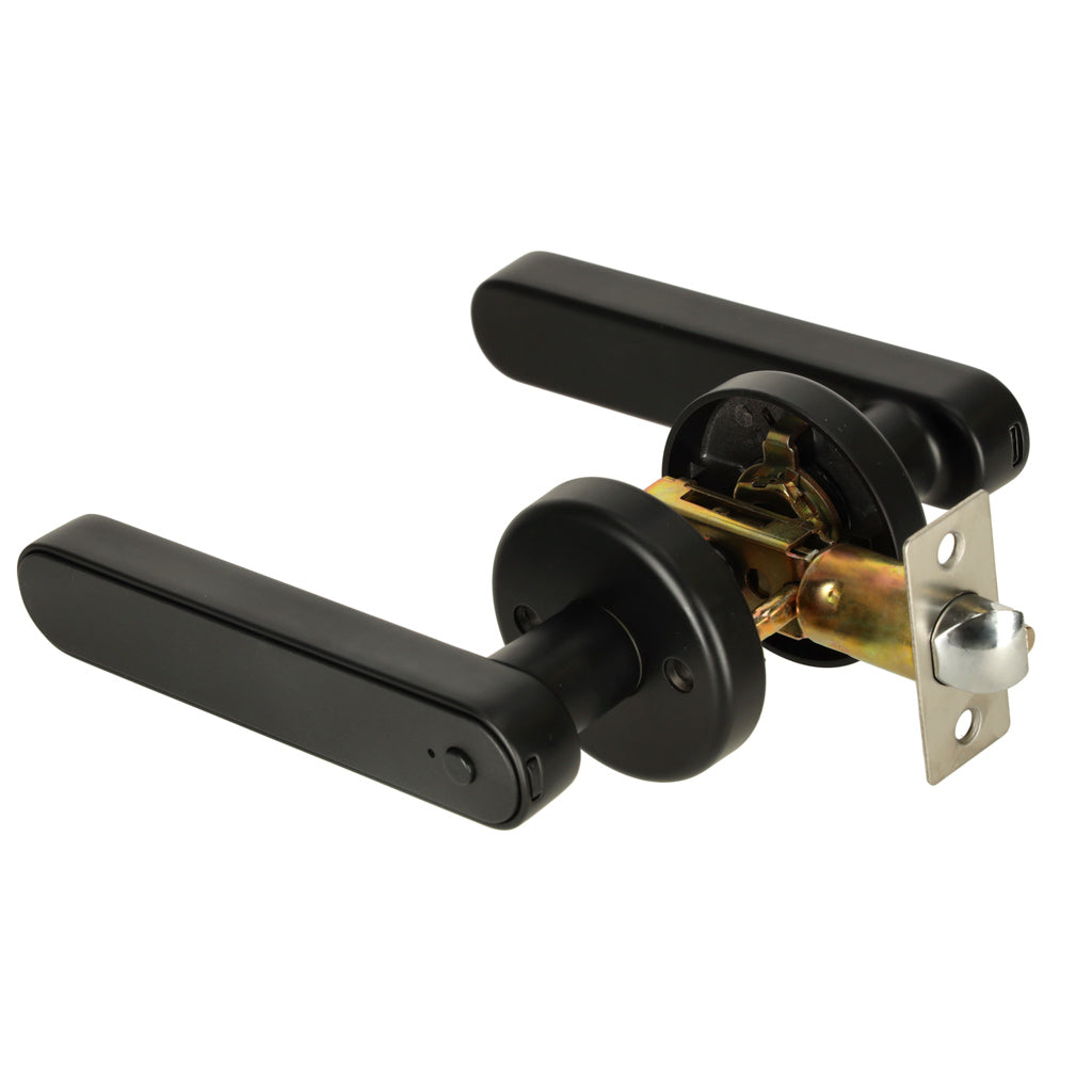 Fingerprint Code Bluetooth Combination Door Handle
