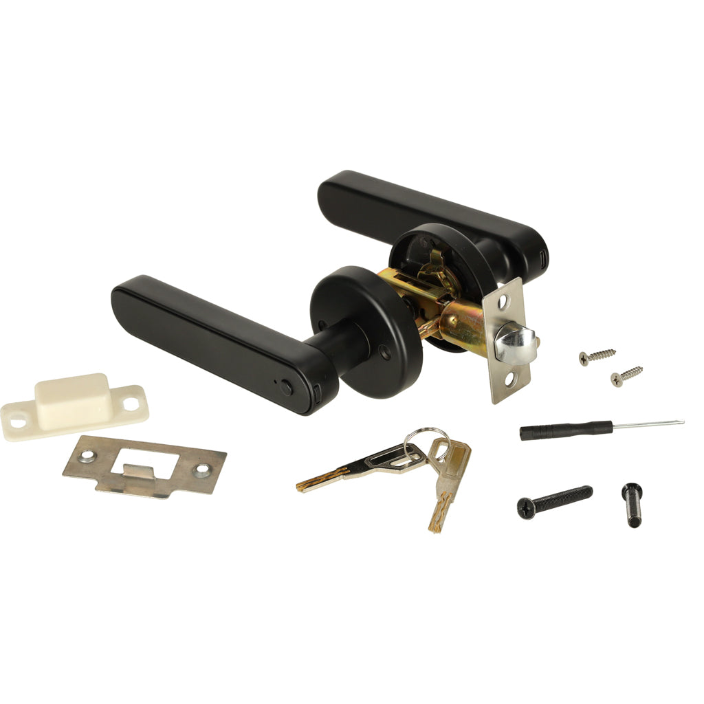 Fingerprint Code Bluetooth Combination Door Handle