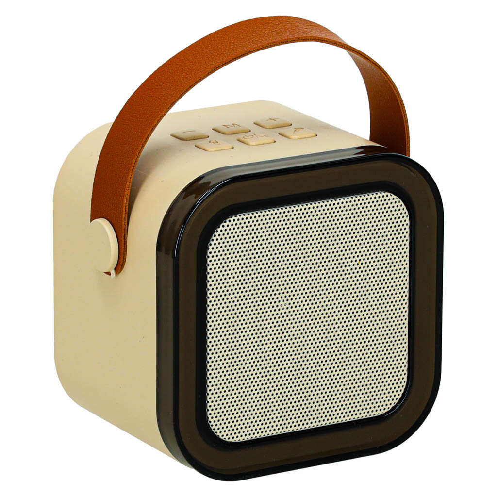 Karaoke Speaker With Microphone Gold