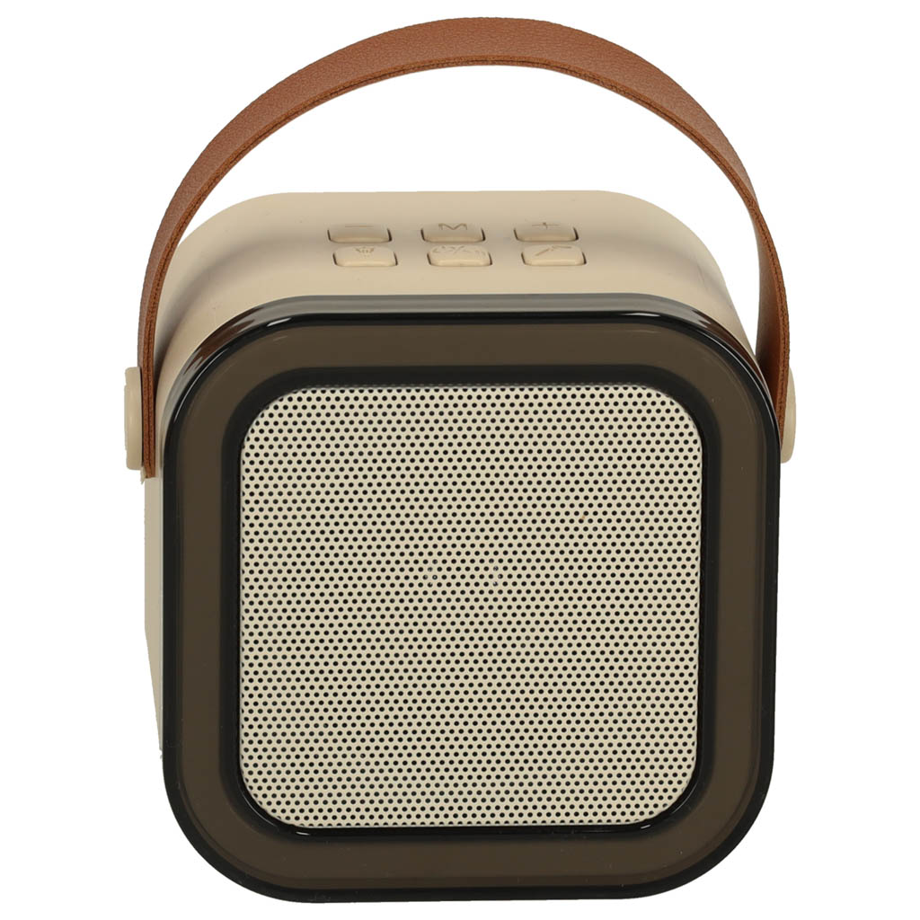 Karaoke Speaker With Microphone Gold
