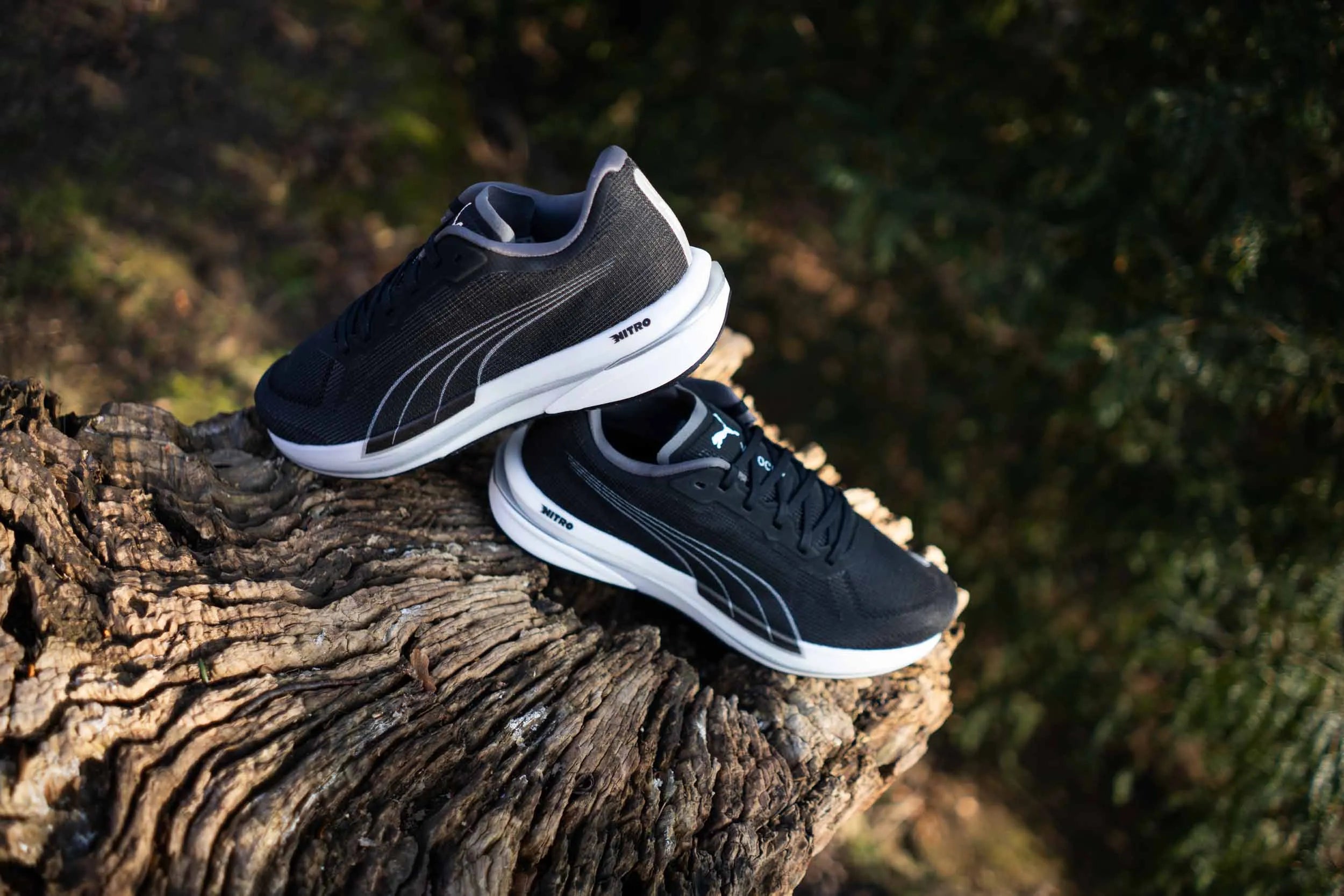 Puma Velocity Nitro Wtr Sort-hvid-pink Sort