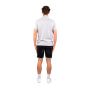 Polo Lacoste Homme