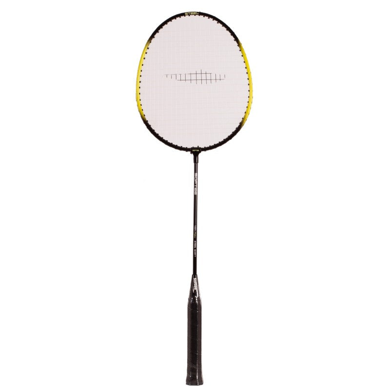 Badminton Training Set