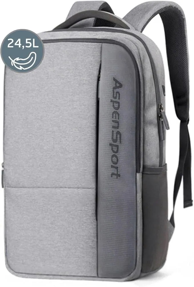 Mochila Aspensport 24,5 L cinzento claro