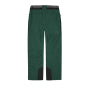 Picture Men's Ski Pants