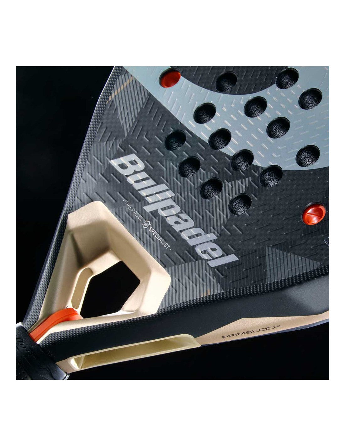 Neurone di Bullpadel 02