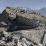 Мъжки туристически обувки Adidas