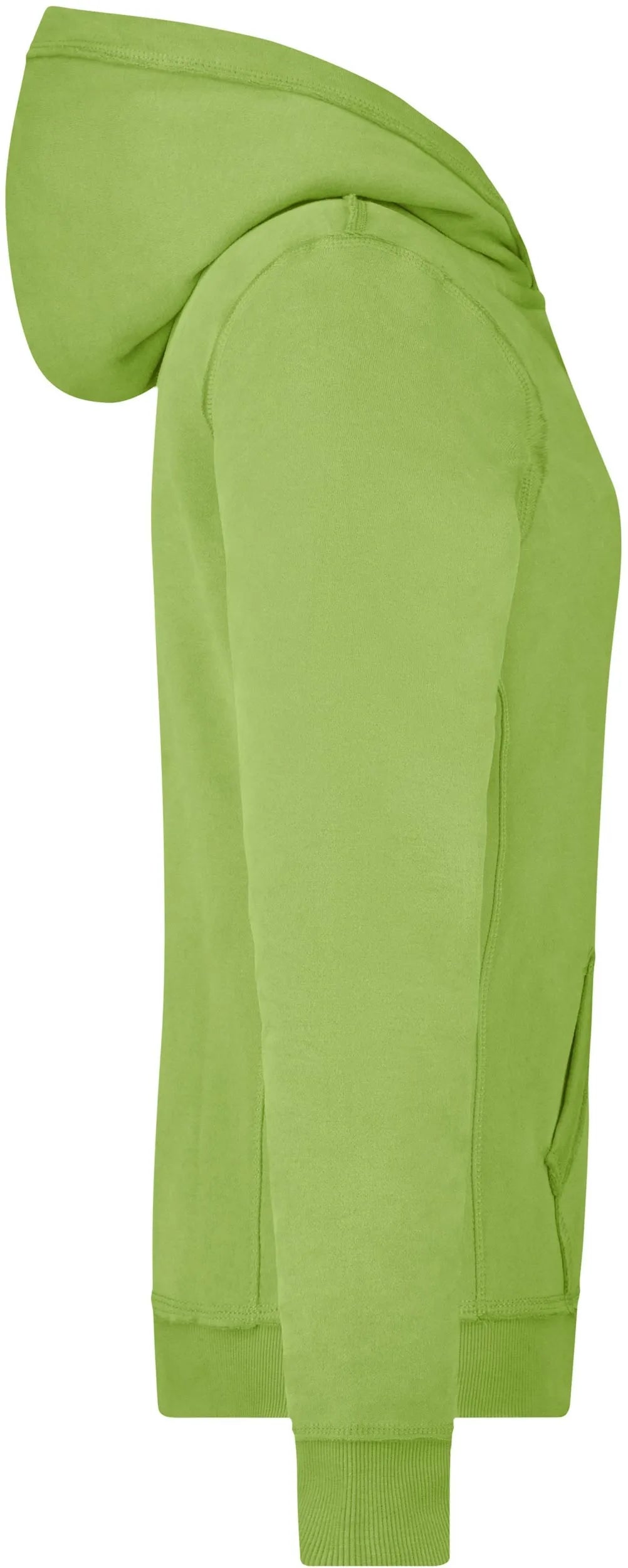 Sweat Femme James & Nicholson Vintage Hoody Vert