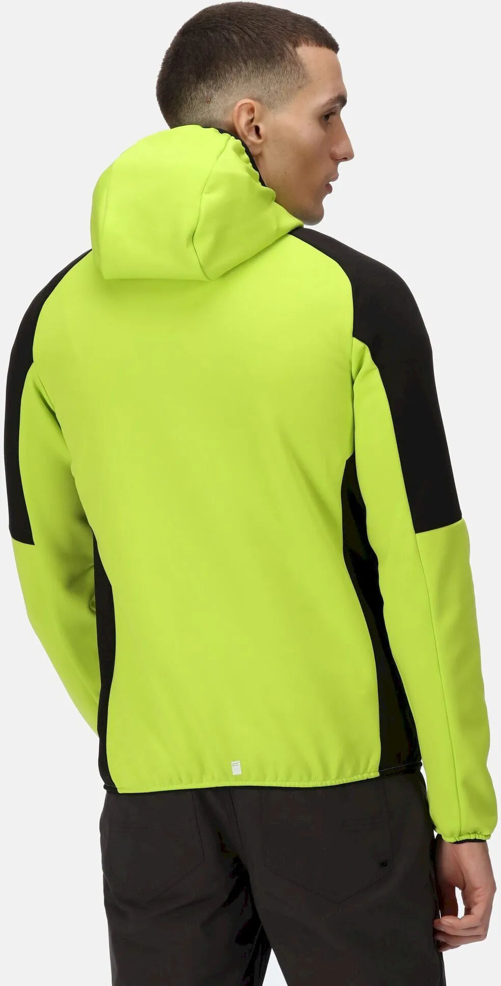 Herre sweatshirt Regatta Herre Attare Softshell jakke Grøn 2xl