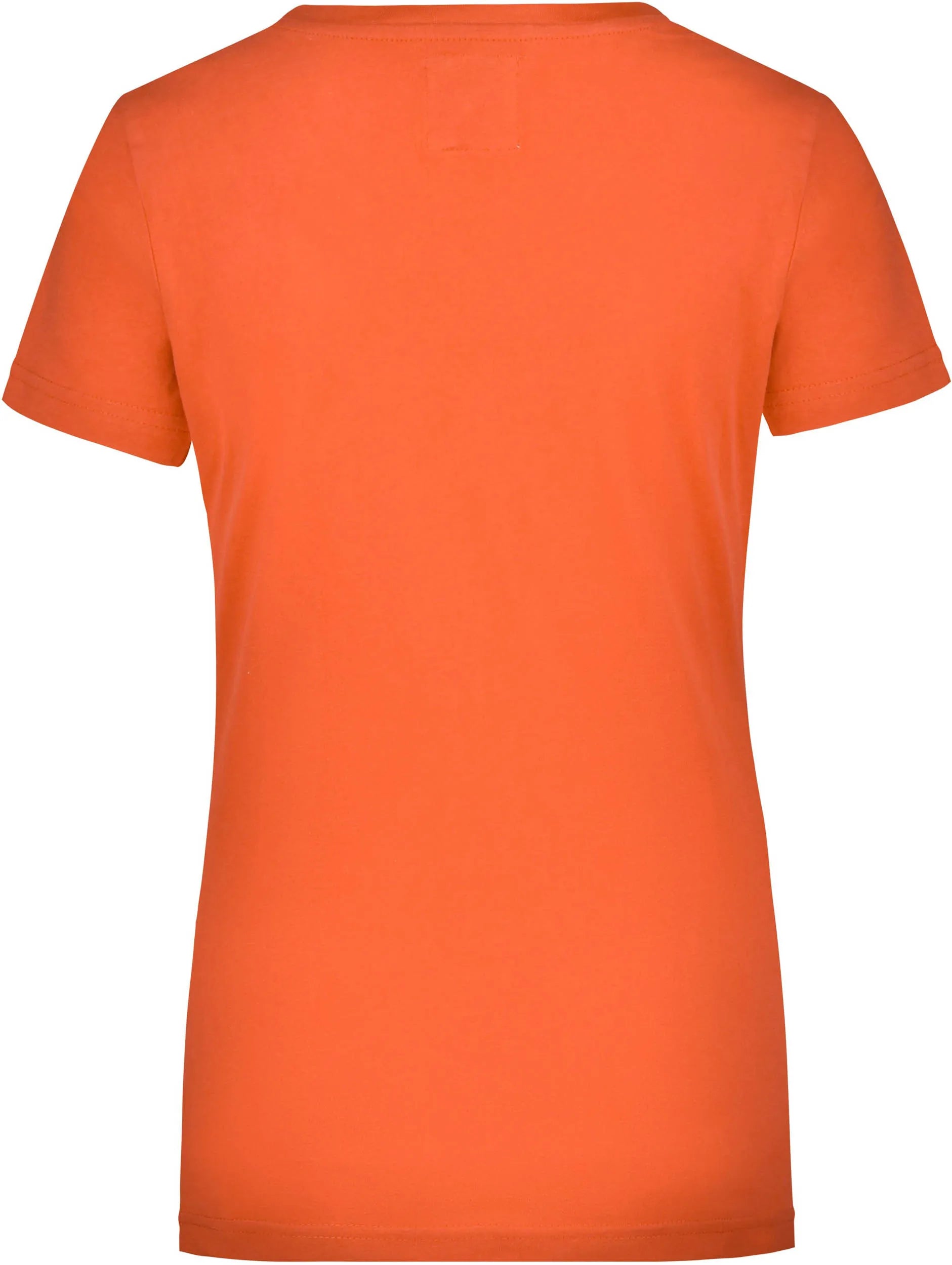 T-shirt da donna james & nicholson camicia vintage arancione xl