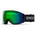 Smith Ski/snowboard Goggles