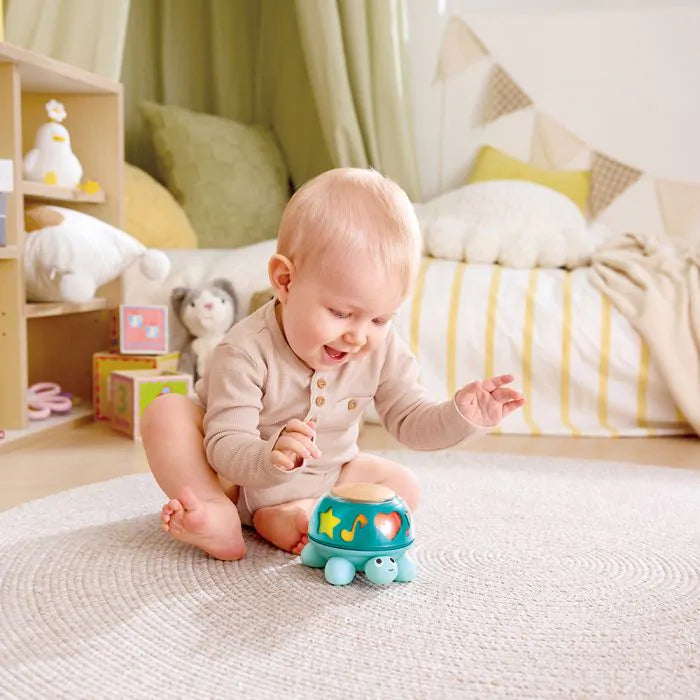 Hape Twist & Tune Turtle
