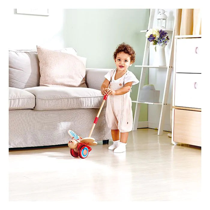 Hape Butterfly Push & Pull