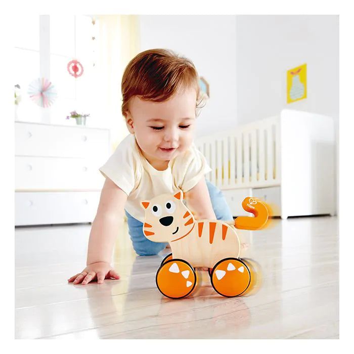 Hape Dante Spingi e vai