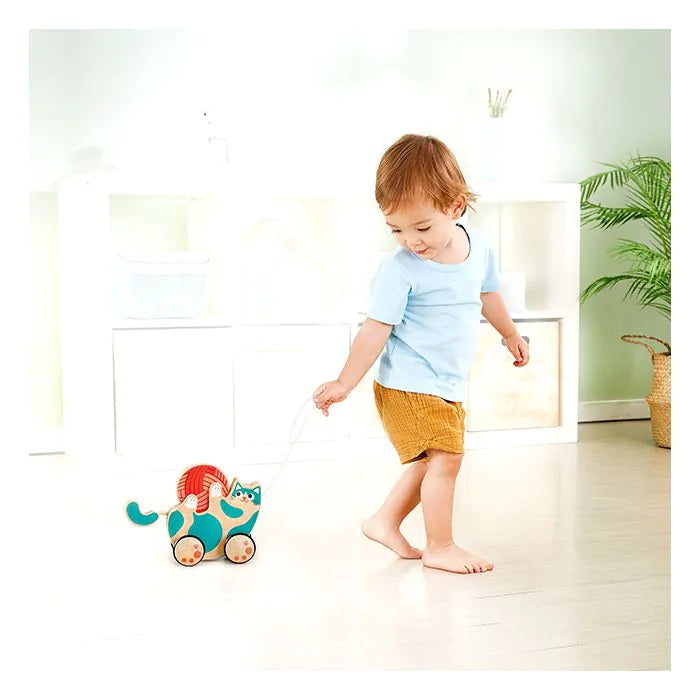 Hape Roll & Rattle Kitten