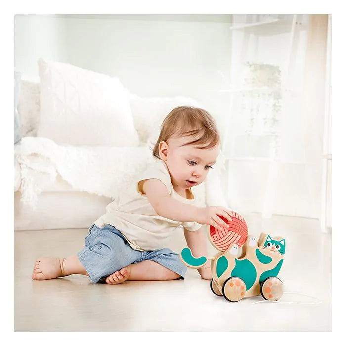 Hape Roll & Rattle Kitten