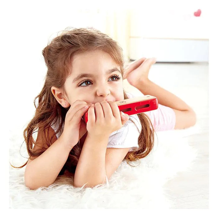 Hape Harmonijka Bluesowa | 12 szt