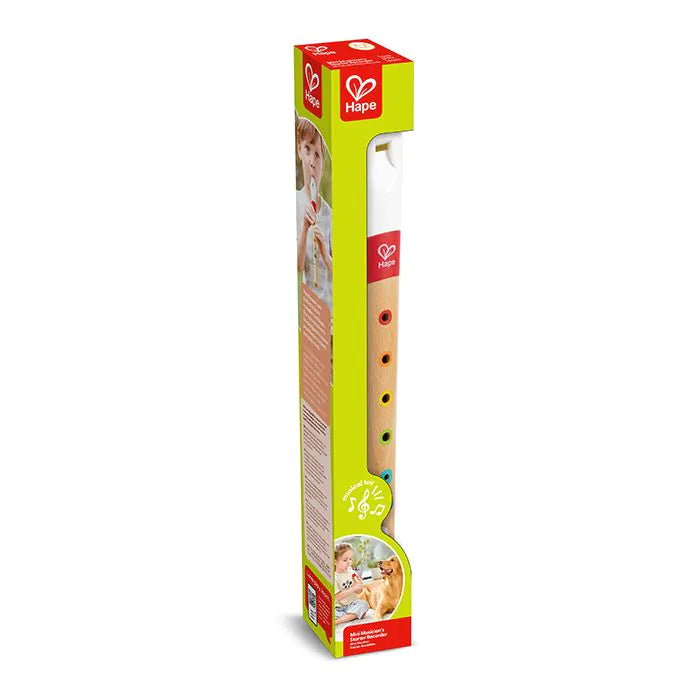 Hape Musician's starterblokfluit